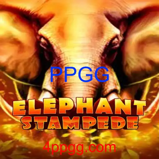 ElephantStampede